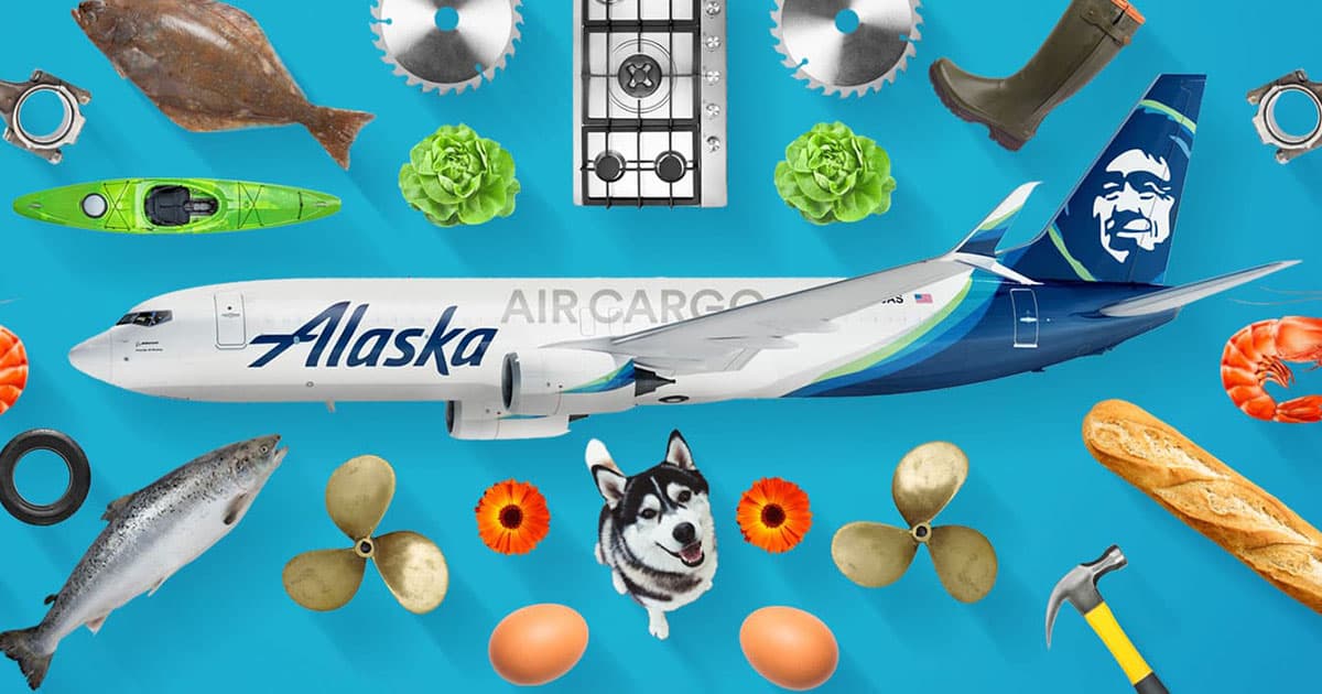 Alaska airlines shipping outlet dogs