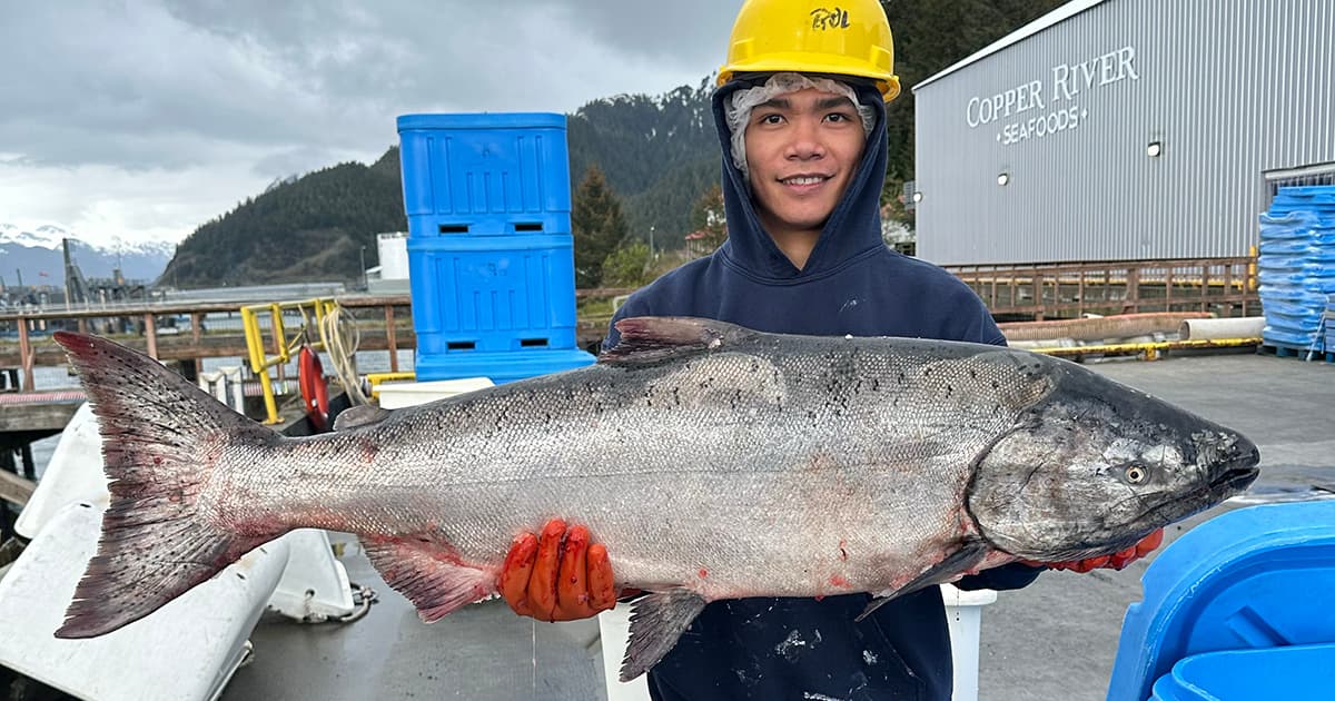 Fast, fresh and first: East Coast gets a taste of opening-harvest Copper River salmon