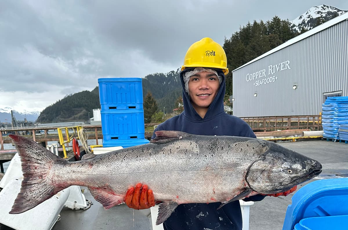 Fast, fresh and first: East Coast gets a taste of opening-harvest Copper River salmon