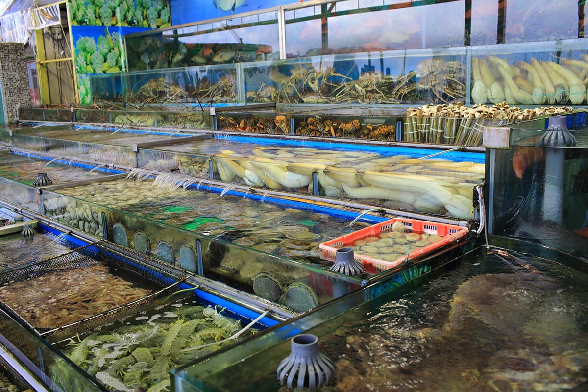A Hong Kong market sells live geoducks (top right) among other fresh seafood.