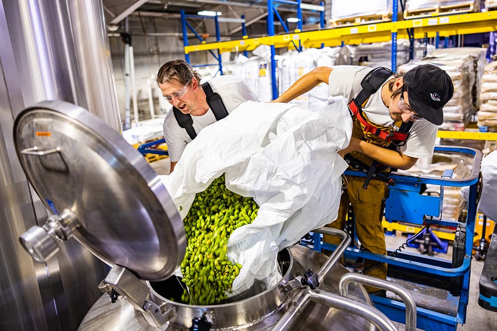 Hops go into the kettle at Maui Brewing Co.